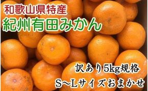 【訳ありご家庭用】和歌山有田みかん5kg（S～Lサイズいずれかお届け）★2024年11月中旬頃より順次発送    BZ92117