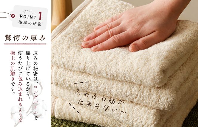 099H2379 極厚フェイスタオル 4枚 生成色【泉州タオル 国産 吸水 普段使い シンプル 日用品 家族 ファミリー】