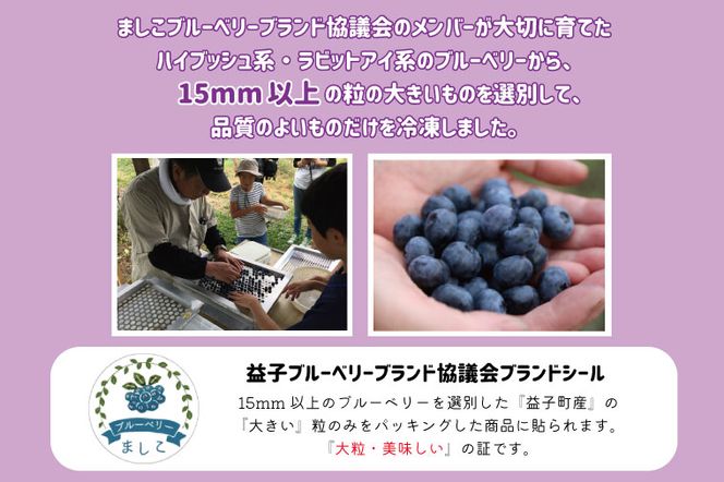 ＼数量限定／【先行予約】益子町産 冷凍ブルーベリー 1kg (500g×2袋) フルーツ 果物 (AA020-1)
