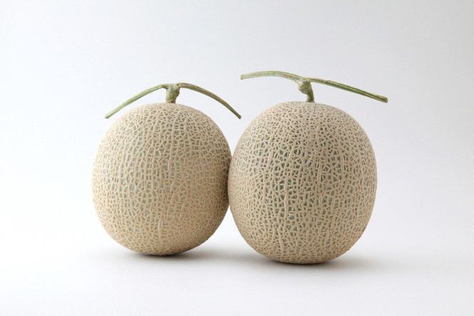 【先行予約】みんな大好き甘～ぃ！京丹後砂丘めろん！ 2玉（2026年7月下旬～発送）　YK00530