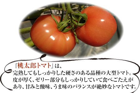 超絶トマットロケチャップ(200g×4個)　四ツ山食品《45日以内に出荷予定(土日祝除く)》---sn_yotukechapu_45d_21_11500_800g---