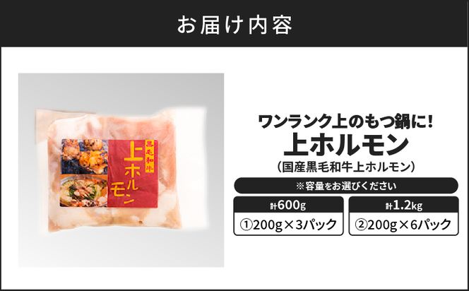 ＜容量選べる！＞ワンランク上のもつ鍋に！ 上ホルモン 600g or 1.2kg　K002-004