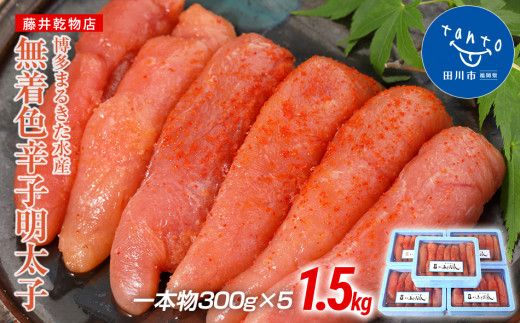 博多まるきた水産 博多あごおとし 無着色辛子明太子1.5kg(一本物300g×5)[ギフト用もあります]