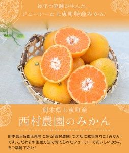 『西村農園』のみかん★約5kg(S-Lサイズ)《12月上旬-12月末頃出荷》 フルーツ 秋 旬★熊本県玉名郡玉東町 80年の老舗農家が作るジューシーみかん♪---sg_nishinmikan_p11_24_11500_5kg---