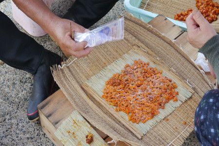 日本三大珍味の一つ！ 塩雲丹（汐うに）50g 2本セット UO01016