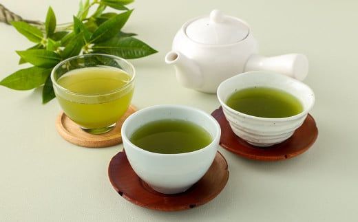 お茶 好き 必見! 中山吉祥園 こだわりの 八女茶 ティーバッグ 3種 セット 【 玉露 ・ 八十八夜 ・ 水出し 】 緑茶 国産 福岡県産 タグ付き 煎茶