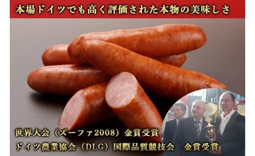 【定期便】山中湖ハム自家製ソーセージ5種類の詰合せ（3ヵ月連続発送） FAB029