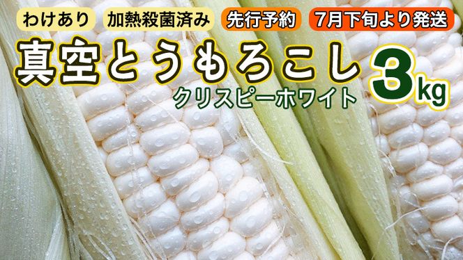 【 先行予約  2024年7月下旬以降発送 】 【 訳あり 】 加熱殺菌済み 真空とうもろこし （ クリスピーホワイト ） 3kg ホワイト 白 トウモロコシ とうもろこし 無添加 保存料不使用 真空 真空パック 数量限定[AU023ya]