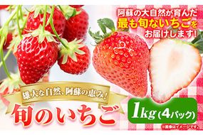 雄大な自然、阿蘇の恵み！ 旬のいちご 1kg (4パック) 味采市場 《2023年3月上旬-3月末頃より順次出荷》 熊本県南阿蘇村 味采市場 いちご 苺 イチゴ 恋みのり フルーツ くだもの 果物‐‐‐sms_cajsiicg_ac3_23_13500_1kg‐‐‐