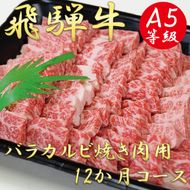 AB-30 A5飛騨牛バラカルビ焼き肉用12か月コース