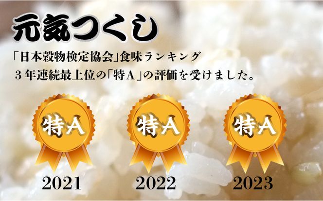 【先行予約】【全3回定期便】福岡県産【特A米】元気つくし【A米】夢つくしの食べ比べ 各5kg×2袋 [10kg] [玄米]【2024年11月下旬以降順次発送】《築上町》【株式会社ベネフィス】[ABDF130]