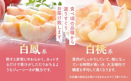 【2024年発送】大容量!山梨県産 旬の桃4kg以上 (2kgx2箱)ふるさと納税 先行予約 SWAB001