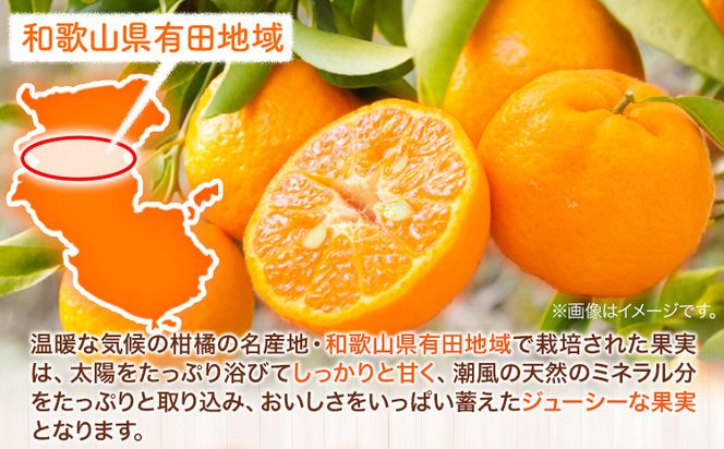 [濃厚・春みかん] 有田産 ポンカン 約 5kg(サイズおまかせ) 厳選館 《2月上旬-3月中旬頃出荷》 和歌山県 日高町 送料無料 柑橘 柑橘類 みかん ポンカン---wsh_gsk15_ae2_23_15000_5200g---