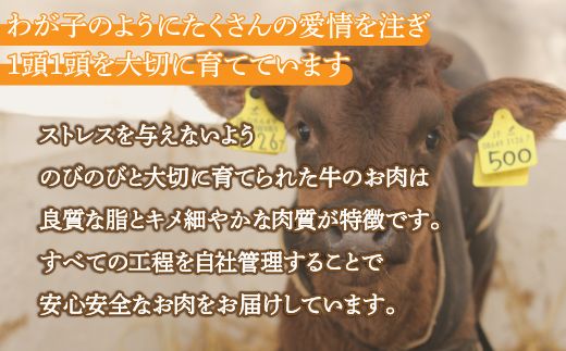 北海道 黒毛和牛 カドワキ牛 モモ スライス 1.05～1.1kg【冷蔵】 TYUAE007
