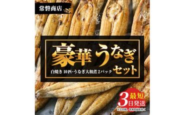 豪華 国産うなぎセット（うなぎの白焼き10匹・うなぎ大和煮2パック）【最短3日発送】 ※沖縄・離島への配送不可