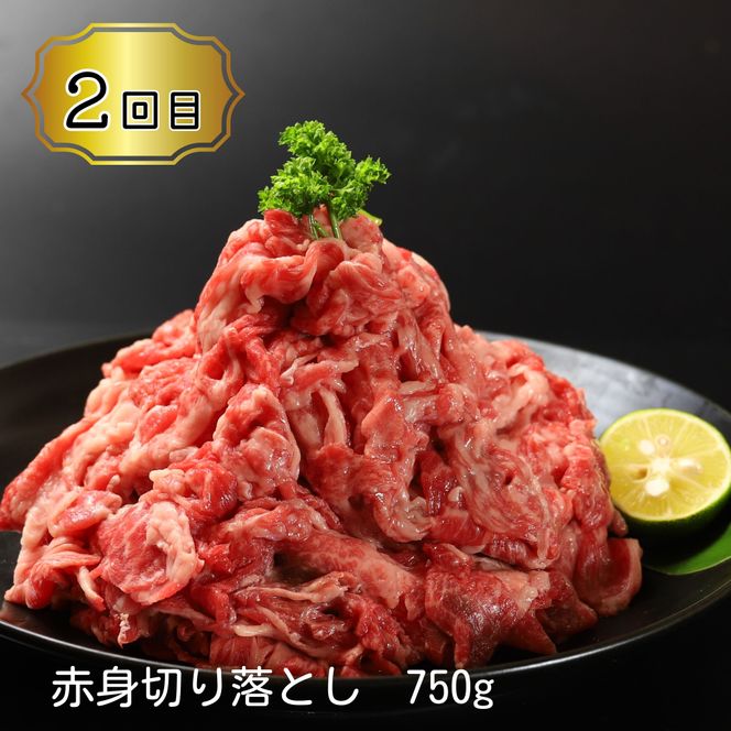 《定期便》全4回お届け！大川原高原牛　赤身(スライス・切り落とし・焼肉・しゃぶしゃぶ)