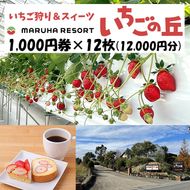 まるは食堂 マルハリゾート いちごの丘1,000円券12枚（12,000円分） ※着日指定不可