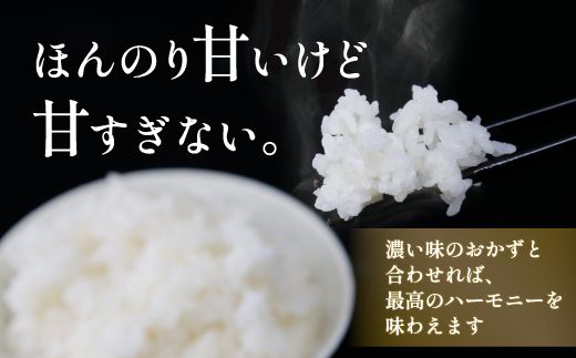 ■3ヵ月連続お届け【定期便 3回】北海道 豊浦 令和5年産 精米 ななつぼし 5kg TYUQ004