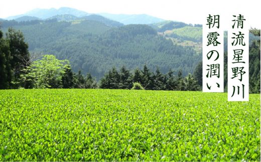 奥八女星野村 深蒸し高級煎茶(深蒸し茶)100g×2袋《築上町》【株式会社ベネフィス】 八女茶[ABDF025]