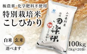 A022 「田楽米」コシヒカリ100kg≪エコやまぐち50認証取得≫