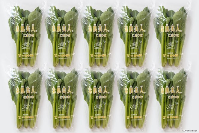 【BH013】小松菜 150g×10束