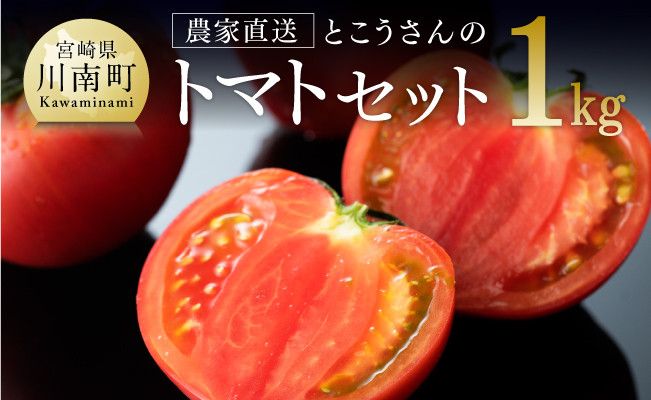 宮崎県産とまと とこうさんのトマト1kg(9〜18個) [ 宮崎県産 九州産 川南町産 トマト とまと 野菜 ヘルシー] [E6601]