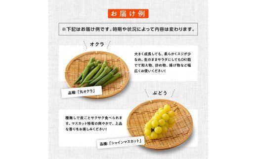 野菜 産直 おすず村 厳選詰め合わせセット（小）【 旬野菜 フルーツ 直売所 産地直送 宮崎県産 】☆[G3801]