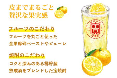 ＜極上フルーツサワー 丸おろしゆず 350ml×24本＞翌月末迄に順次出荷【c799_mm_x2】
