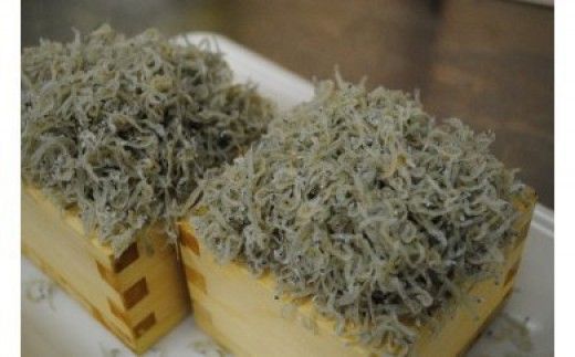 R6-751．【6回定期便】老舗海産物店の土佐黒潮こだわりちりめんじゃこ560g（計3.36kg）