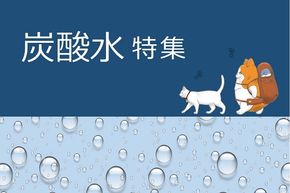 【特集】ふるさと納税でもらえるおすすめの「炭酸水」！