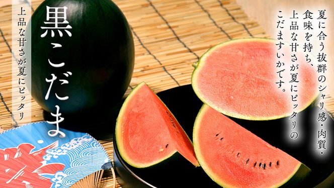 【 筑西ブランド 認証品 】 旬のフルーツ 定期便 ( ミニコース ) 2026年産 先行予約 JA 幸水 豊水 こだまスイカ 黒こだま ピノ・ガール 果物 フルーツ なし 和梨 小玉すいか 小玉 すいか スイカ [AE013ci]