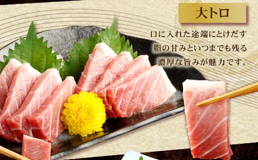 マグロ R6年収穫 鹿児島県産直 13℃一定保存 5分5kg 8分5kg 商品検索結果｜業務用食材卸売市場Mマート