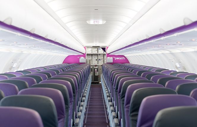 099H389 PeachでGo！！泉佐野市宿泊 旅行クーポン（300,000円分）【宿泊 旅行 ホテル トラベル】