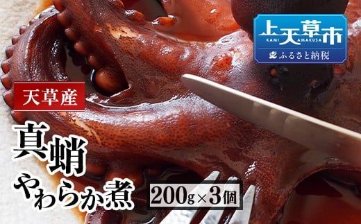yF{VszVY^̂炩ρiXe[Lj200g×3 v600g  ^R  ^_R ܂  y Ⓚ F{ Vs