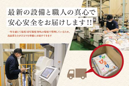 【令和6年産 新米】さがびより 精米 10kg【特A受賞米 米 5kg×2袋 お米 コメ こめ 国産 美味しい ブランド米 人気 ランキング】(H015185)