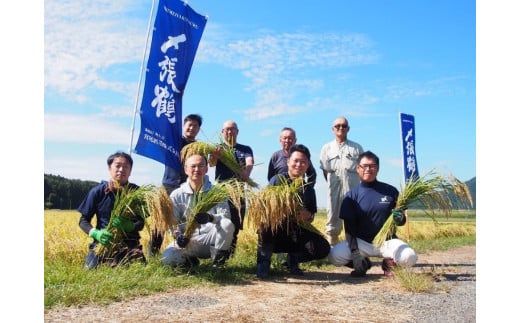 〆張鶴 純 1800ml×2本セット 1014004 計3.6L お酒 酒 日本酒 純米吟醸酒