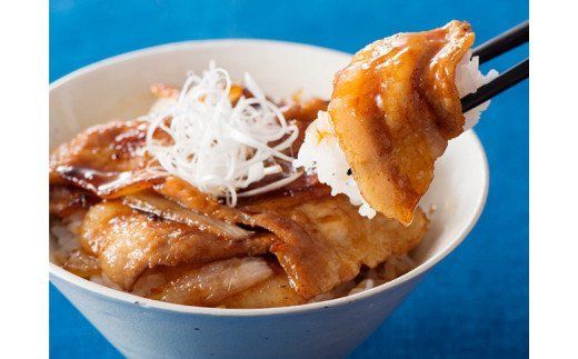 宮崎県産豚　毎日満腹食べられます!尾鈴豚セット 【 肉 豚肉 精肉 肉加工品 惣菜 詰め合わせ 】 [C00404]