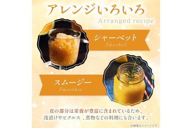 【先行予約／数量限定50】夕日ヶ浦すいか（金色羅皇） 1玉（2026年7月中旬～発送）　国産 スイカ すいか 西瓜 2024フルーツ ふるーつ 果物 くだもの 農家応援 生産者応援 JK00042