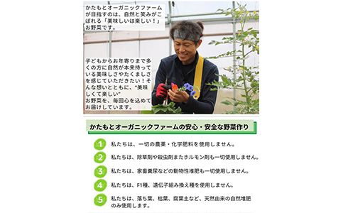 【12回定期便】かたもとオーガニックファームの農業研修生が無農薬・自然栽培で育てたお野菜セット 8～10品目 ｜ 産地直送 朝採れ 新鮮 京野菜 京都府 亀岡産