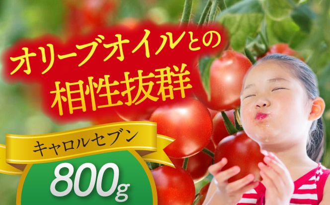 ミニトマト (キャロルセブン)800g トマト 野菜 新鮮 期間限定トマト 愛西市 / 株式会社石原農園[AEBG005]