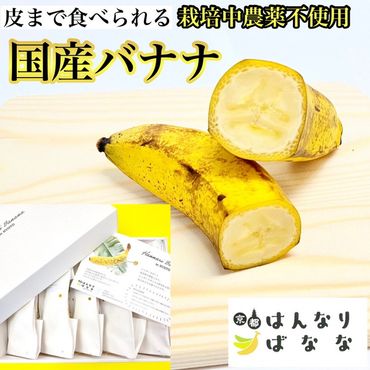  国産バナナ 5本セット 皮まで食べられる 『京都はんなりばなな』《栽培期間中農薬不使用 京都初 亀岡産 希少》  ※離島への配送不可