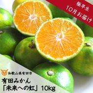 233.【10月お届け】有田みかん「未来への虹」（10kg）(A233-2)