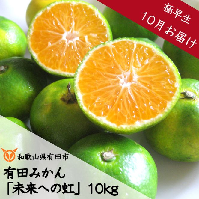 233.【10月お届け】有田みかん「未来への虹」（10kg）(A233-2)