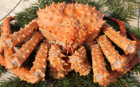 オホーツク産 幻の蟹 イバラガニ 1.2～1.4kg SRMN013