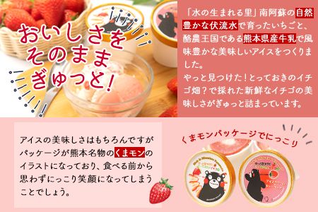 いちごアイス2種×5個セット やっと見つけた！とっておきのイチゴ畑？ 熊本県南阿蘇村《30日以内に出荷予定(土日祝除く)》苺 イチゴ アイス ジェラート---isms_fyatoaice_30d_r7_14000_10p---