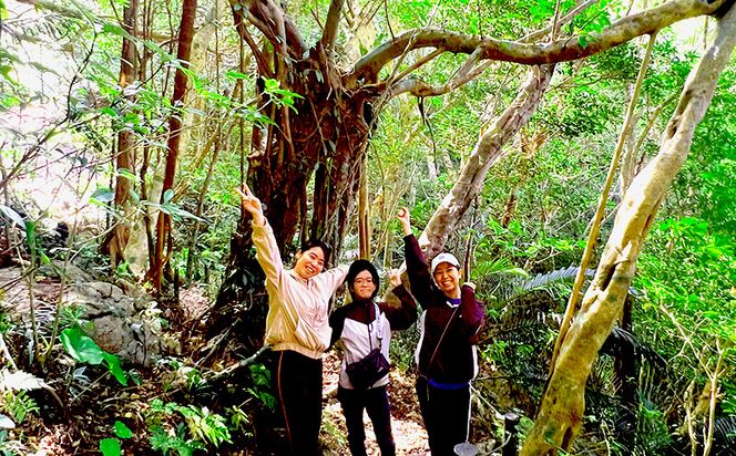 沖縄県北部やんばる・大宜味村最高峰ネクマチヂ岳を登る【3名様】