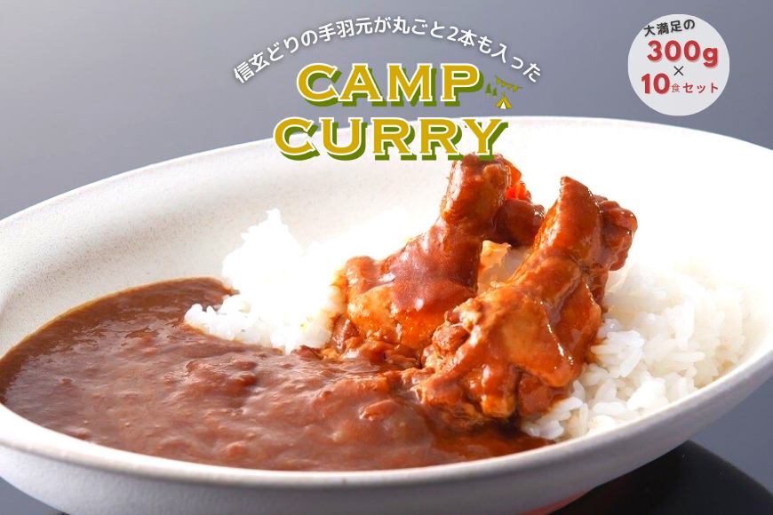 [キャンプカレー]大容量300gのレトルトカレー10食セット! 166-007