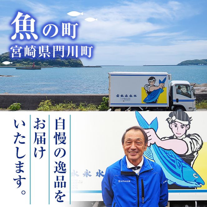 辛口えいひれ(計約500g・100g×5P)干物 おつまみ 珍味 魚 海産物 冷蔵【E-25】【水永水産】