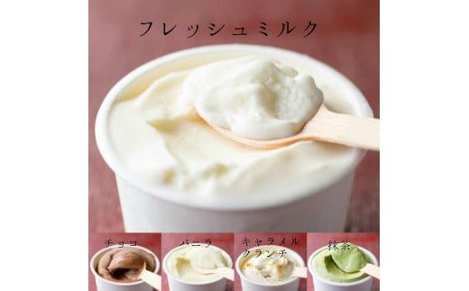 【北海道産搾りたて生乳使用】ひらかわ牧場のアイスクリーム 定番の5種8個セット フレッシュミルク バニラ チョコ キャラメルクランチ 抹茶 デザート スイーツ お取り寄せ ギフト せたな町 ふるさと納税