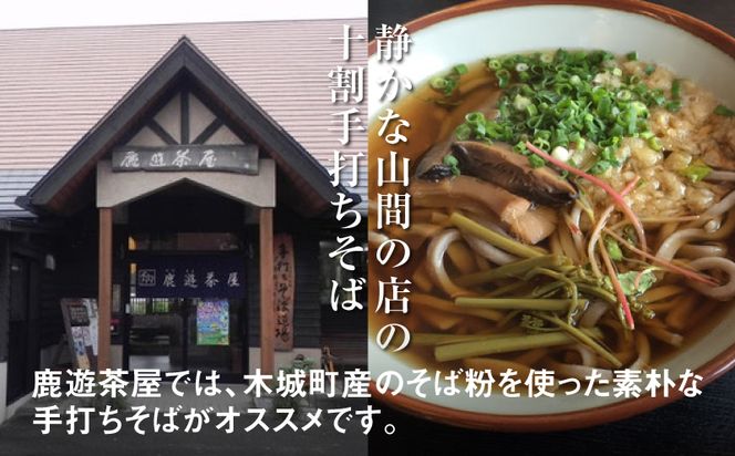 木城町　郷の駅「鹿遊茶屋（かなすみちゃや）」お食事券　5,000円分　K04_0008